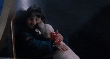 the santa clause puppy GIF