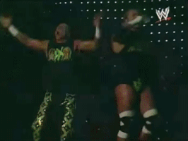 triple h wrestling GIF by WWE