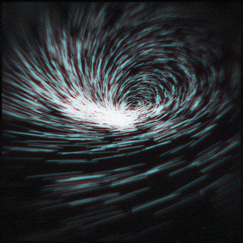 Spin Storm GIF by Erica Anderson Find & Share on GIPHY