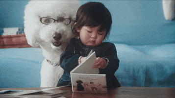 dog fix me GIF by Beck