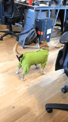 Happy Look Back At It GIF