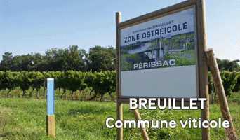 Breuillet Vin Charentais GIF