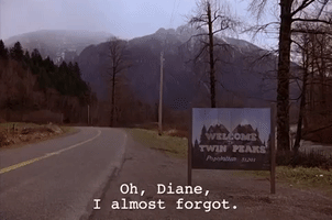 season 1 diane GIF by Twin Peaks on Showtime