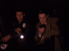 Season 1 Detectives GIF by Twin Peaks on Showtime