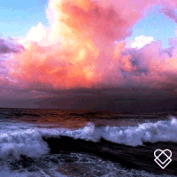 200.gif?cid=fc005b08d088d598fe57668671d77ffc19919c06e9b83aa4&rid=200.gif&ct=g