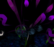 miron  GIF