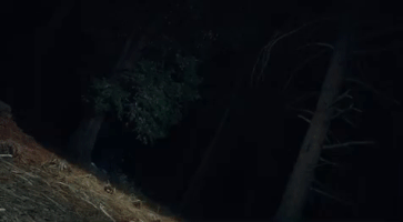 200.gif?cid=fc005b08cc52023032c2607e3cdd2b95a8aaec8a45cb7b33&rid=200.gif&ct=g