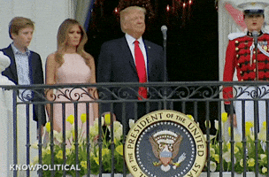 knowpolitical trump GIF
