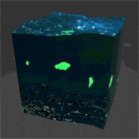 water fish GIF by aurel