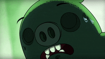 200.gif?cid=fc005b08135426b5adbdd224ffe797c4c9112e8eef6e6fa3&rid=200.gif&ct=g