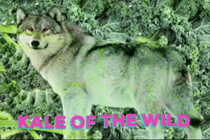 call of the wild wolf GIF by bjorn