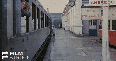 criterion collection GIF by FilmStruck