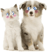 Cat Dog Sticker by Lois Hopwood
