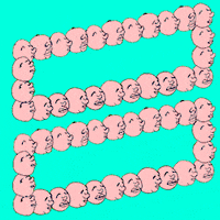 200.gif?cid=fc005b08feb982d198364caefef63080683240b479d2b765&rid=200.gif&ct=g