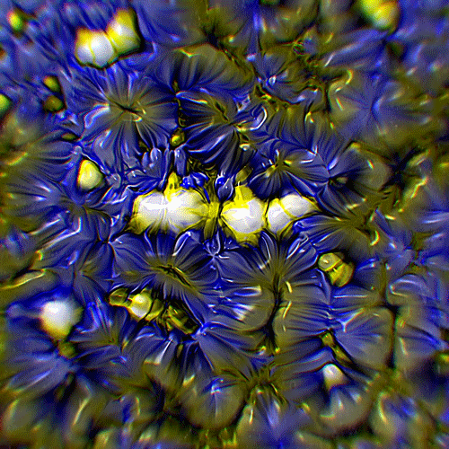 giphy.gif