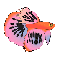 Under Water Fish Sticker by Nicole Ginelli