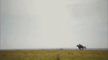 horse ross GIF by MASTERPIECE | PBS