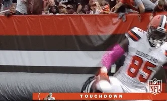 NFL football nfl cleveland browns browns GIF