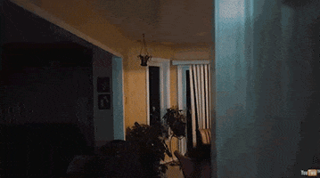 scared scary movie GIF by Much