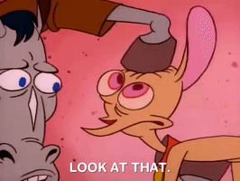 200.gif?cid=fc005b08214466834c095b09d66ff952aef6f852ecd09579&rid=200.gif&ct=g