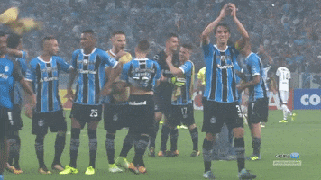 futebol GIF by Grêmio