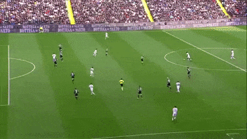 goal milanudinese GIF by nss sports