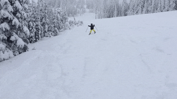 ski fail GIF by America's Funniest Home Videos