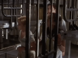 200.gif?cid=fc005b08288be7f99c920e6b1058a172a7b441e031e76a16&rid=200.gif&ct=g
