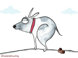 dog GIF by Red & Howling