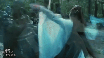 kung fu fight GIF