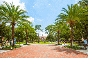 palm trees people GIF by University of Florida