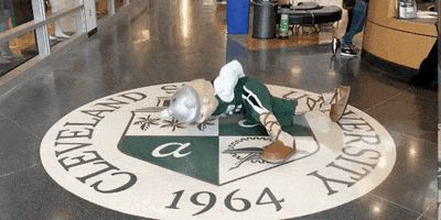cle_state workout power strong vikings GIF