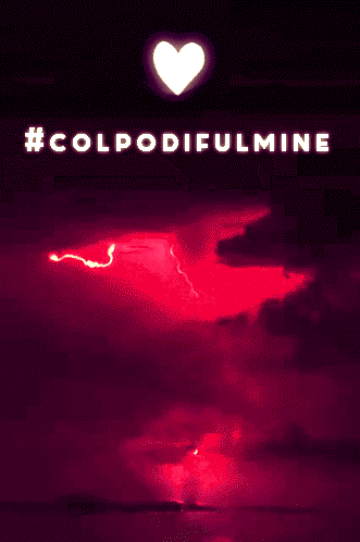 silviapasqualetto  GIF