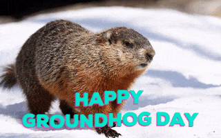 Groundhog Day Holiday GIF by Nebraska Humane Society