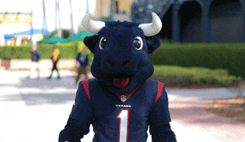 Come On Wtf GIF by NFL