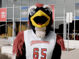 university mascot bird GIF