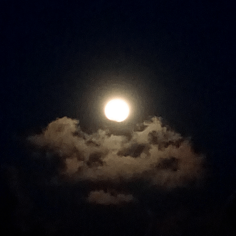 Full Moon GIF