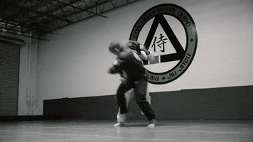 Throw Judo GIF by ROYDEAN