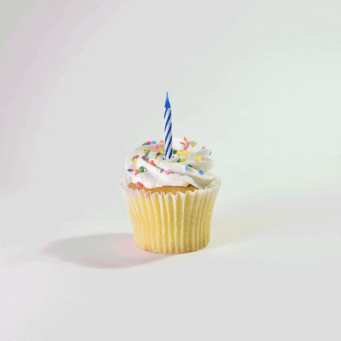 birthday cupcake GIF by Evan Hilton