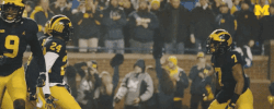 Michigan Football Touchdown GIF by Michigan Athletics