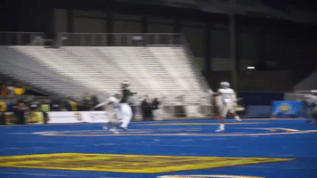 Colorado State Csurams GIF