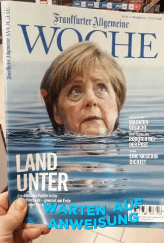 Merkel Signalfoto GIF