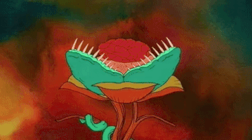 venus trap flower GIF by King Gizzard & The Lizard Wizard