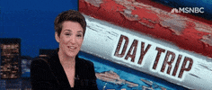 excited the rachel maddow show GIF