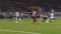 Ze Roberto GIF by SE Palmeiras