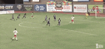 goal playoffs GIF by NYRB II