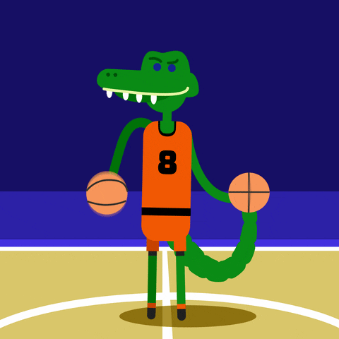 florida gators basketball GIF by University of Florida