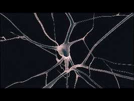 Dan Curtin Party GIF by Reckon
