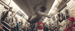 performance subway GIF by Pianos Become The Teeth