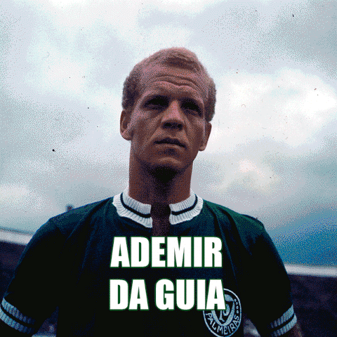 idolo GIF by SE Palmeiras